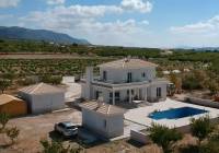 New Build - Villa - Pinoso