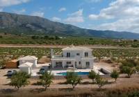 New Build - Villa - Pinoso