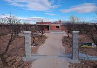 New Build - Villa - Pinoso