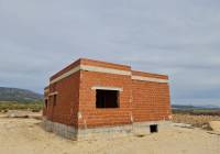 New Build - Villa - Pinoso