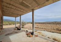 New Build - Villa - Pinoso