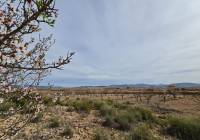 New Build - Villa - Pinoso