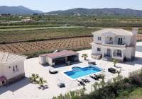 New Build - Villa - Pinoso