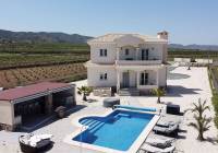 New Build - Villa - Pinoso