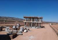 New Build - Villa - Pinoso