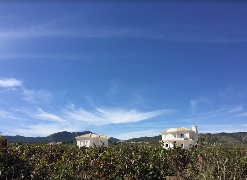 New Build - Villa - Pinoso