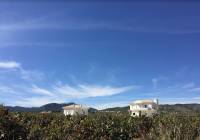 New Build - Villa - Pinoso