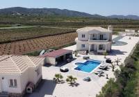 New Build - Villa - Pinoso