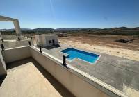 New Build - Villa - Pinoso