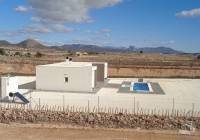 New Build - Villa - Pinoso