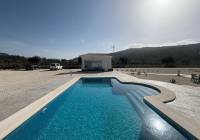 New Build - Villa - Pinoso