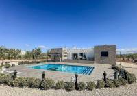 New Build - Villa - Pinoso