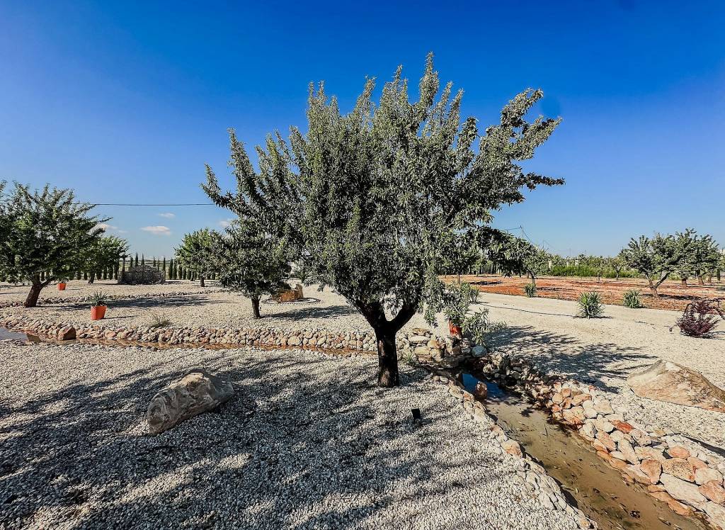 New Build - Villa - Pinoso