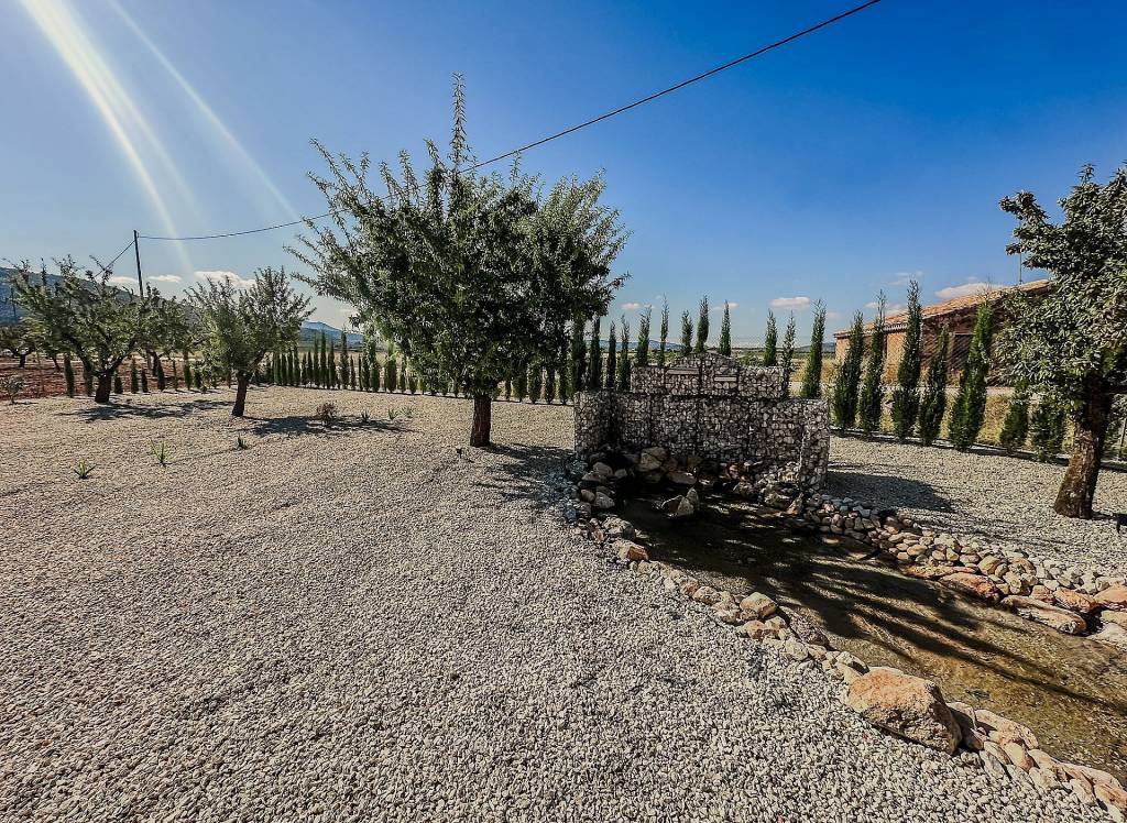 New Build - Villa - Pinoso