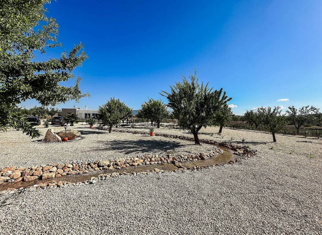 New Build - Villa - Pinoso