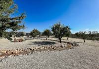 New Build - Villa - Pinoso