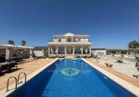 New Build - Villa - Pinoso