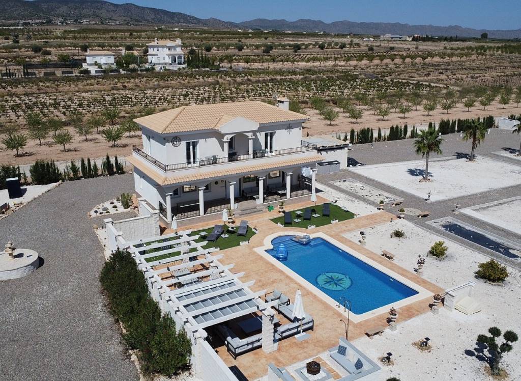 New Build - Villa - Pinoso