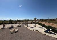 New Build - Villa - Pinoso