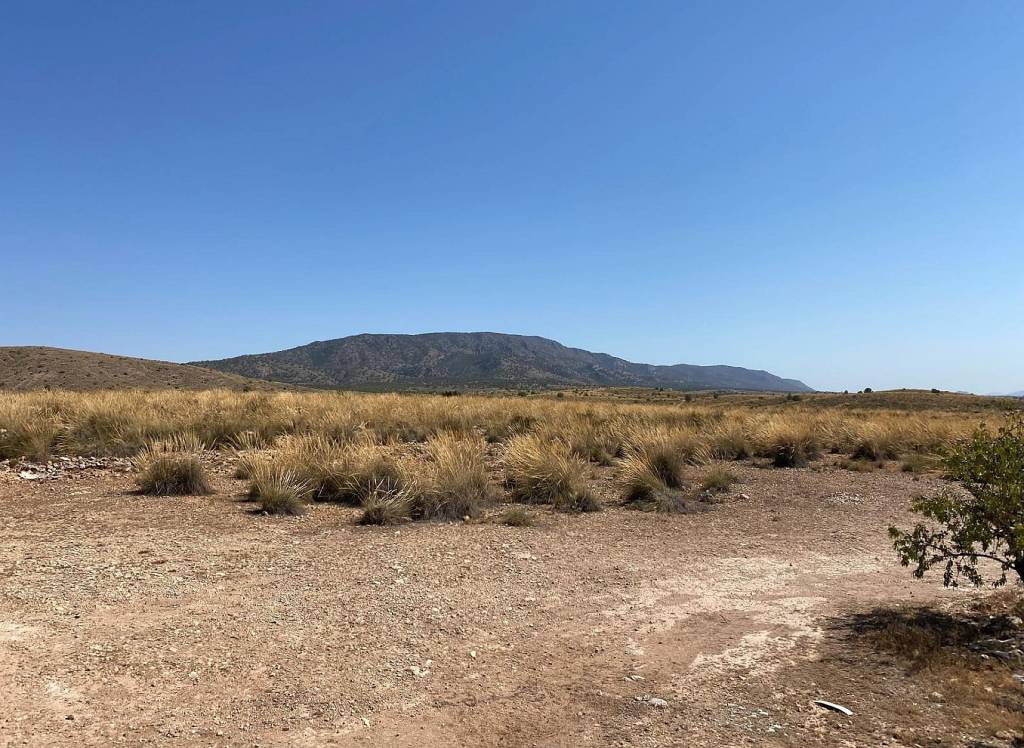 New Build - Villa - Pinoso