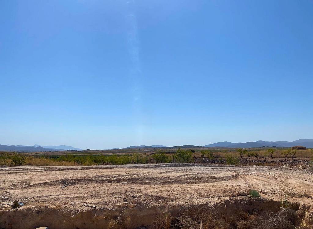 New Build - Villa - Pinoso