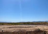 New Build - Villa - Pinoso