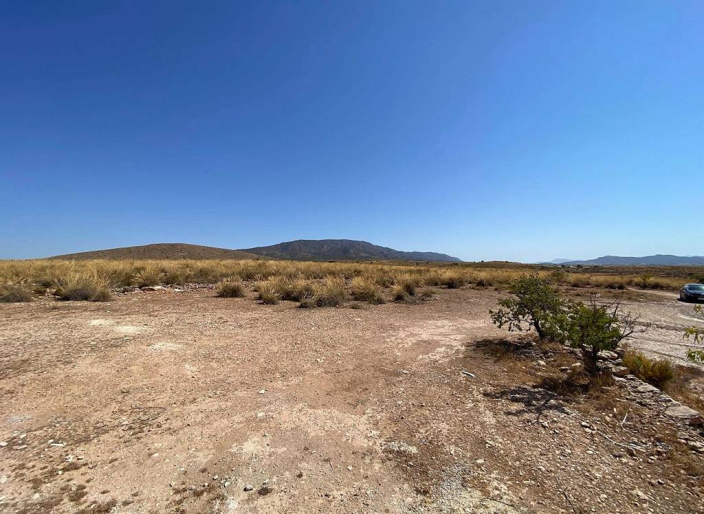 New Build - Villa - Pinoso