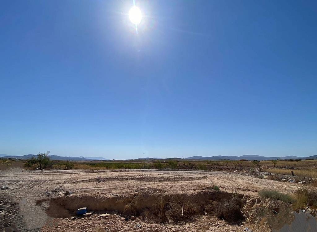 New Build - Villa - Pinoso