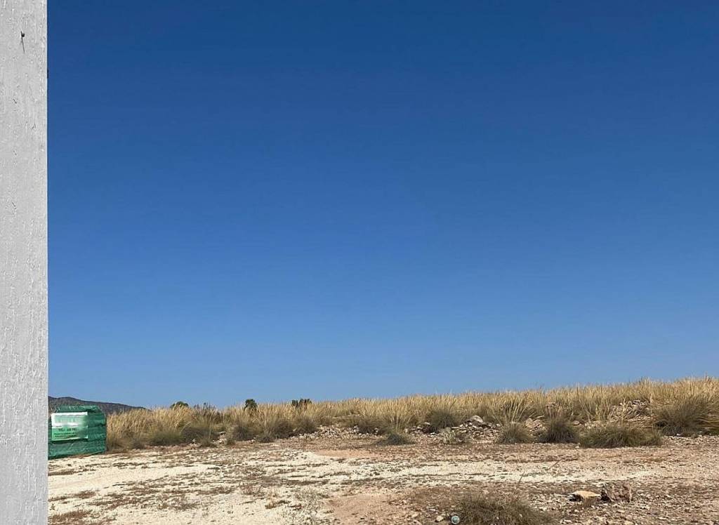 New Build - Villa - Pinoso