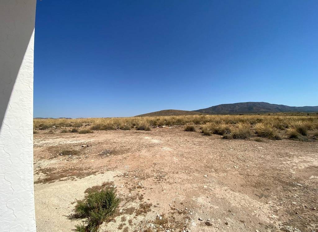 New Build - Villa - Pinoso