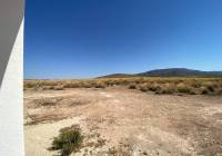 New Build - Villa - Pinoso