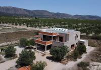 New Build - Villa - Salinas