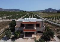 New Build - Villa - Salinas