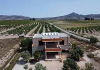 New Build - Villa - Salinas