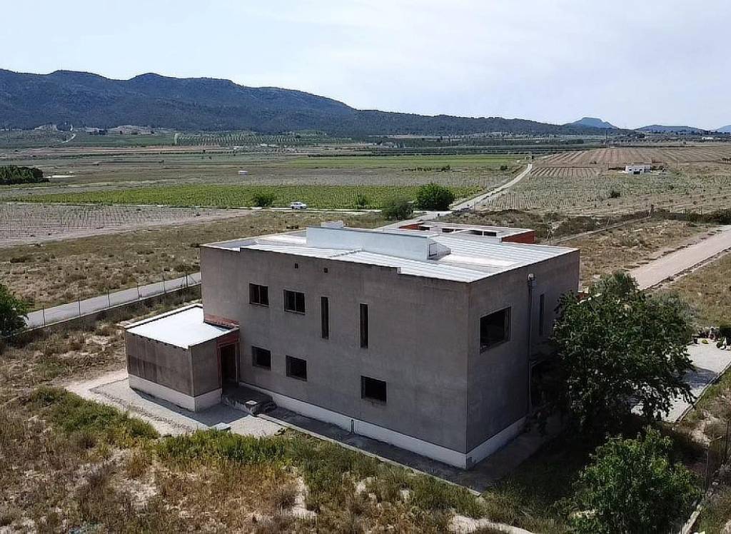 New Build - Villa - Salinas