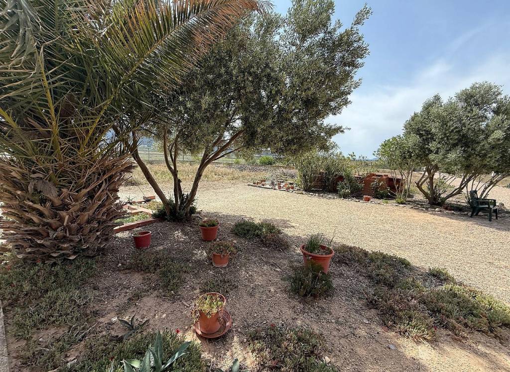 New Build - Villa - Salinas