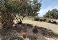 New Build - Villa - Salinas