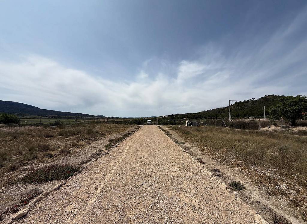 New Build - Villa - Salinas