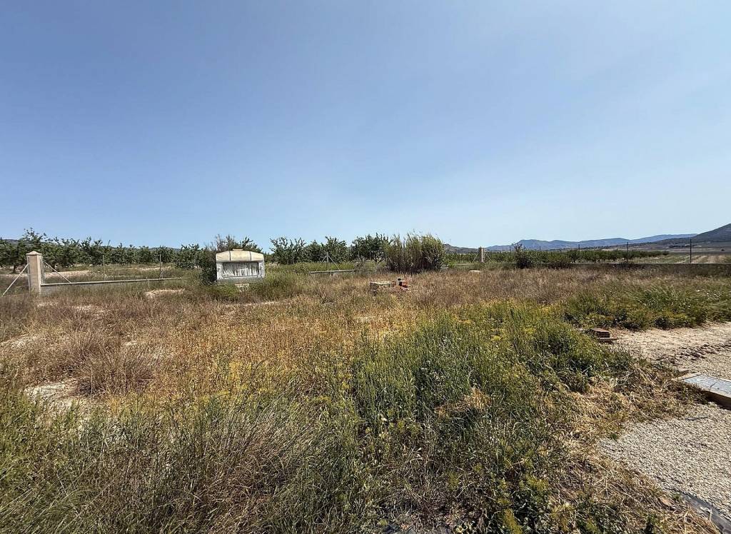 New Build - Villa - Salinas