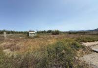 New Build - Villa - Salinas