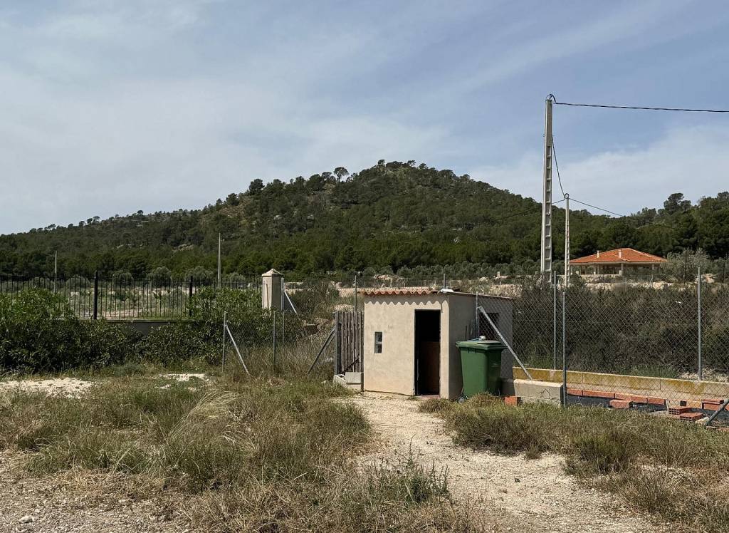 New Build - Villa - Salinas