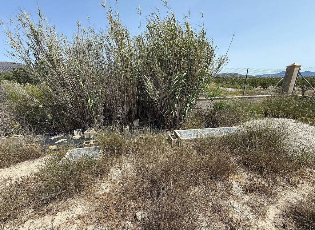 New Build - Villa - Salinas