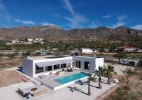 Nueva construcción  - Villa - Aspe