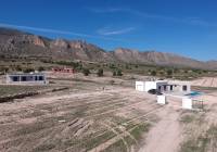 Nueva construcción  - Villa - Aspe