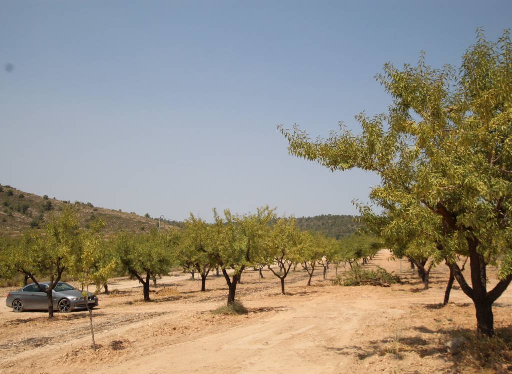 Nueva construcción  - Villa - Pinoso - Rural location
