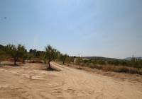 Nueva construcción  - Villa - Pinoso - Rural location