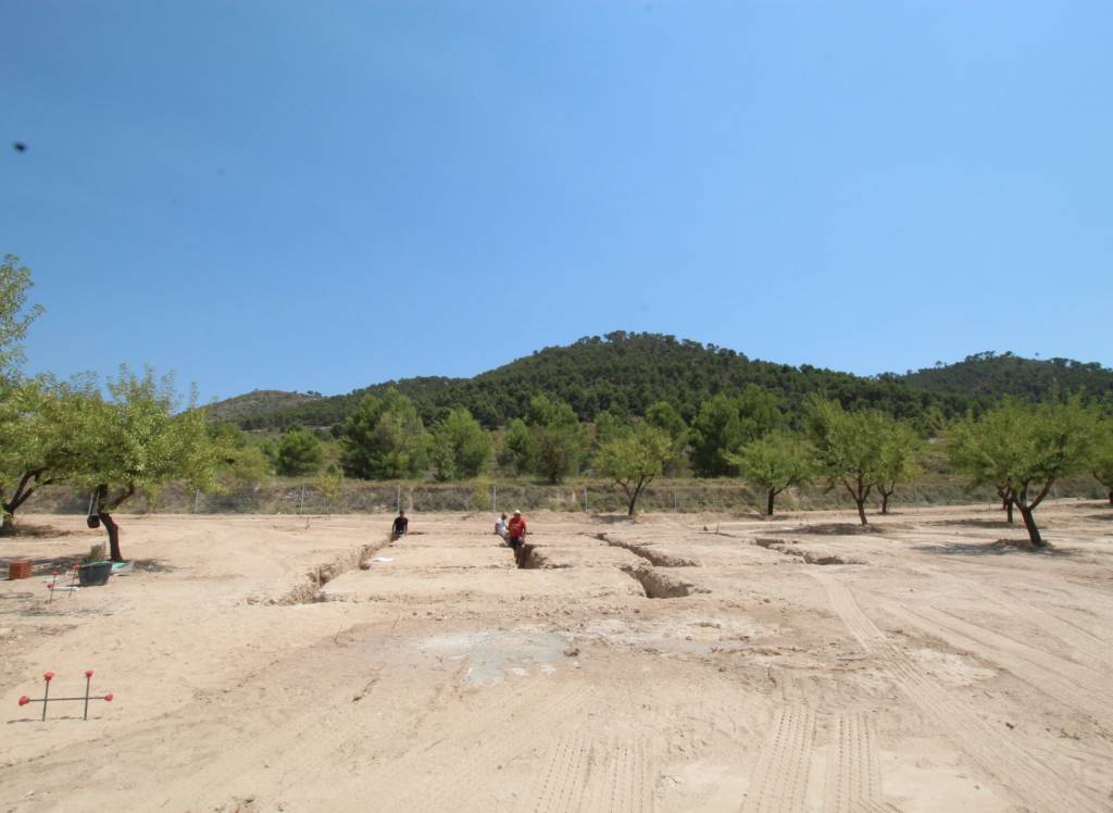 Nueva construcción  - Villa - Pinoso - Rural location