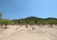 Nueva construcción  - Villa - Pinoso - Rural location