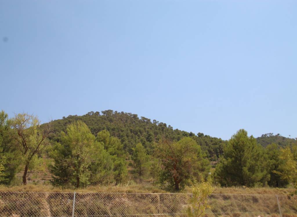 Nueva construcción  - Villa - Pinoso - Rural location