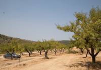 Nueva construcción  - Villa - Pinoso - Rural location